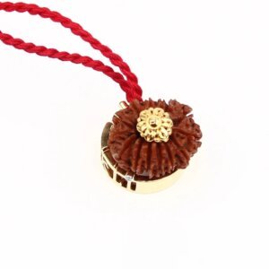 14 Mukhi Rudraksha Pendant