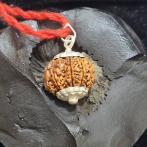 10 Mukhi Rudraksha Pendant