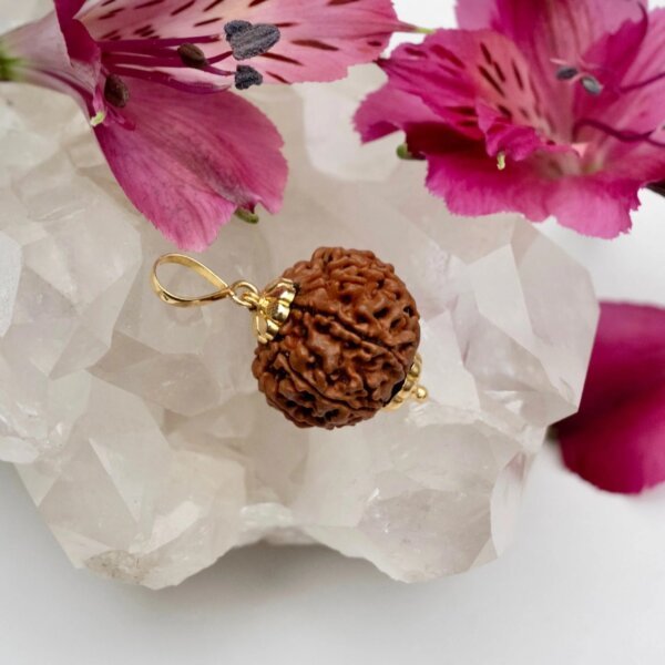 9 Mukhi Rudraksha Pendant