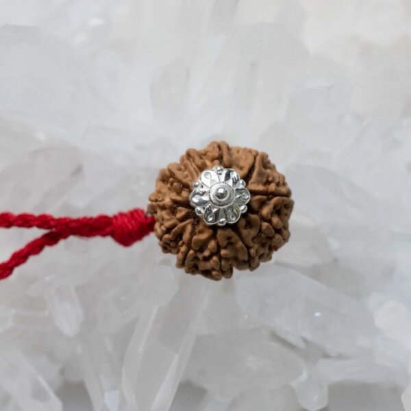 11 Mukhi Rudraksha Pendant