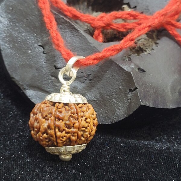 8 Mukhi Rudraksha Pendant