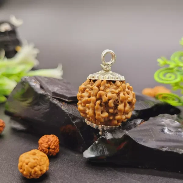 6 Mukhi Rudraksha Pendant