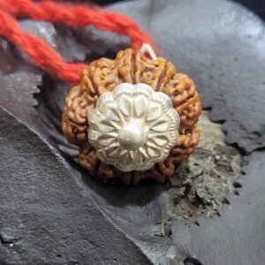 10 Mukhi Rudraksha Pendant