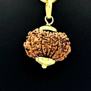 12 Mukhi Rudraksha Pendant