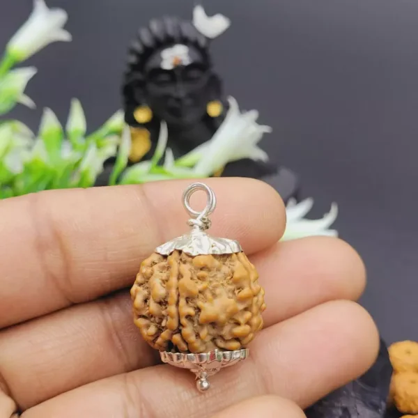 6 Mukhi Rudraksha Pendant