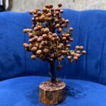 Natural Indonesian 5 Mukhi Rudraksha Tree For Spirituality