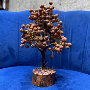 Natural Indonesian 5 Mukhi Rudraksha Tree For Spirituality