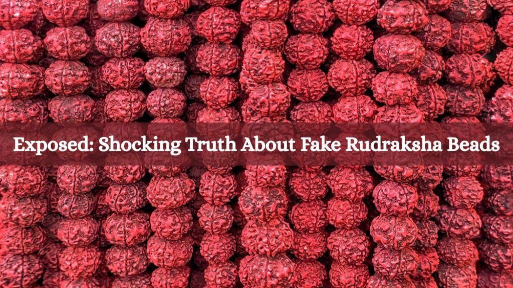 Exposed: Shocking Truth About Fake Rudraksha Beads