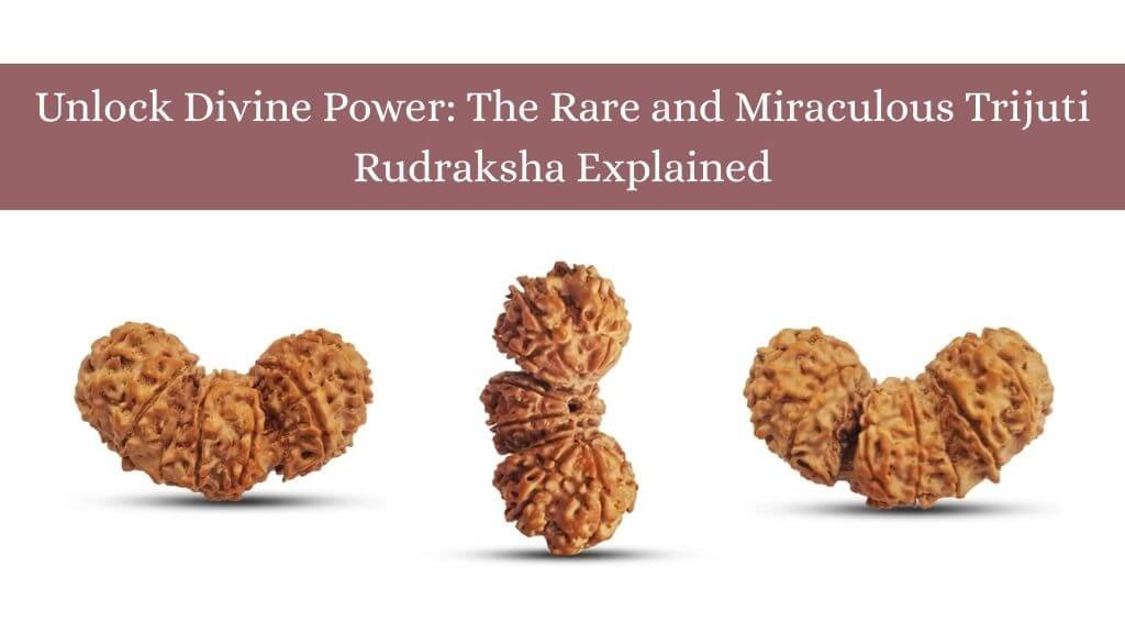 Trijuti Rudraksha