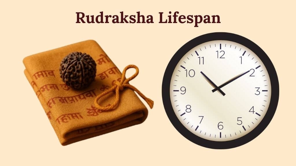 Rudraksha Lifespan