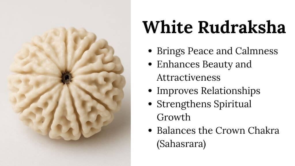 Rudraksha Color- White