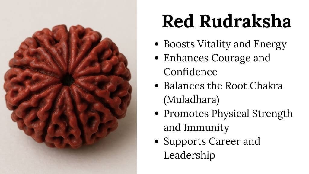 Rudraksha Color- Red