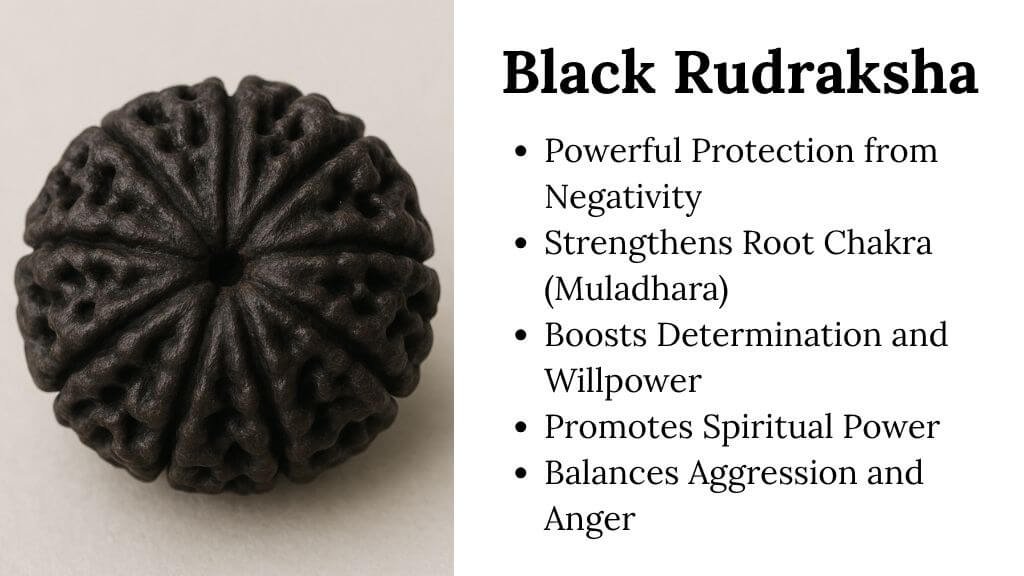 Rudraksha Color- Black