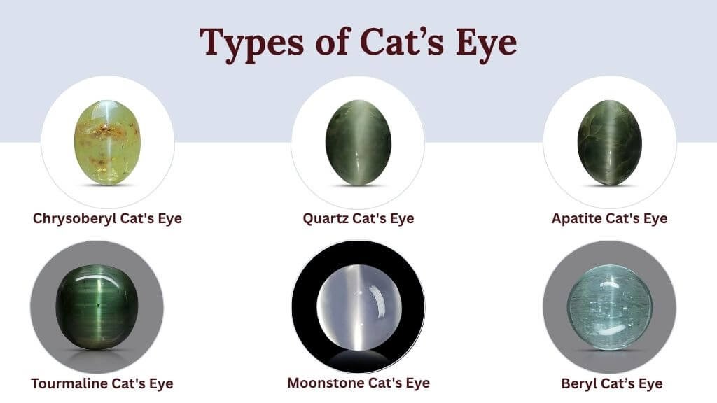 Types of Cat’s Eye