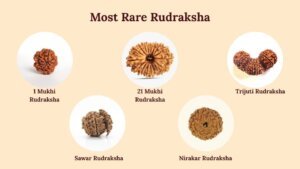 Most Rare Rudraksha