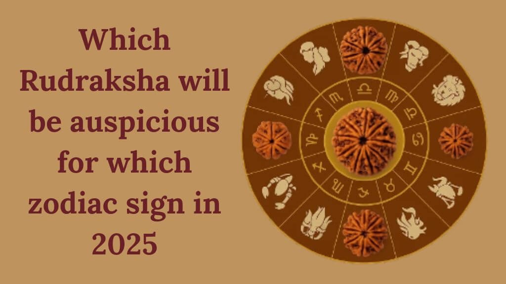 Auspicious Rudraksha