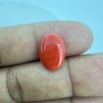 5.30 Carat/ 5.88 Ratti Natural Japanese Coral/ Moonga Gemstone