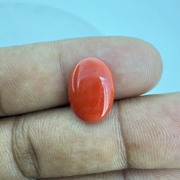 5.30 Carat/ 5.88 Ratti Natural Japanese Coral/ Moonga Gemstone