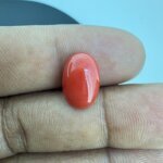 4.49 Carat/ 4.98 Ratti Natural Japanese Coral/ Moonga Gemstone