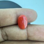 4.49 Carat/ 4.98 Ratti Natural Japanese Coral/ Moonga Gemstone
