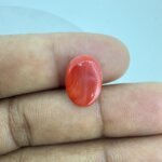 4.95 Carat/ 5.49 Ratti Natural Japanese Coral/ Moonga Gemstone