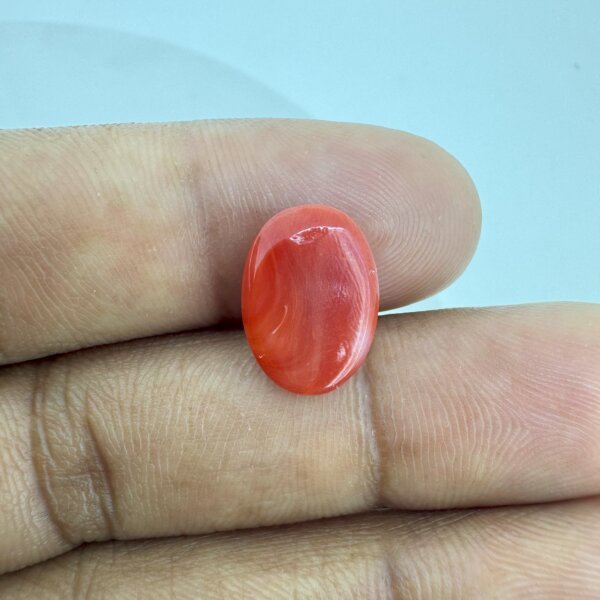 4.95 Carat/ 5.49 Ratti Natural Japanese Coral/ Moonga Gemstone