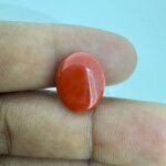 6.10 Carat/ 6.77 Ratti Natural Japanese Coral/ Moonga Gemstone