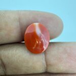 6.10 Carat/ 6.77 Ratti Natural Japanese Coral/ Moonga Gemstone