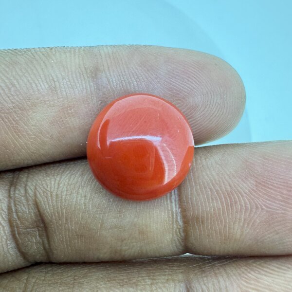 10.41 Carat/ 11.55 Ratti Natural Japanese Coral/ Moonga Gemstone