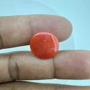10.41 Carat/ 11.55 Ratti Natural Japanese Coral/ Moonga Gemstone