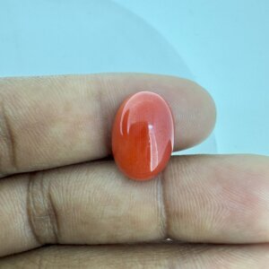 9.34 Carat/ 10.36 Ratti Natural Japanese Coral/ Moonga Gemstone