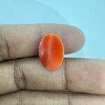 9.34 Carat/ 10.36 Ratti Natural Japanese Coral/ Moonga Gemstone