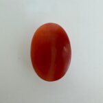 9.34 Carat/ 10.36 Ratti Natural Japanese Coral/ Moonga Gemstone