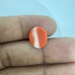 4.21 Carat/ 4.67 Ratti Natural Japanese Coral/ Moonga Gemstone