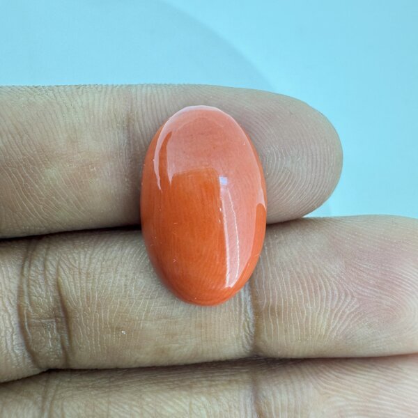 12.02 Carat/ 13.34 Ratti Natural Japanese Coral/ Moonga Gemstone