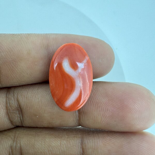 12.02 Carat/ 13.34 Ratti Natural Japanese Coral/ Moonga Gemstone