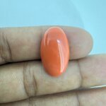 12.52 Carat/ 13.89 Ratti Natural Japanese Coral/ Moonga Gemstone