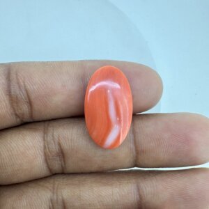 12.52 Carat/ 13.89 Ratti Natural Japanese Coral/ Moonga Gemstone