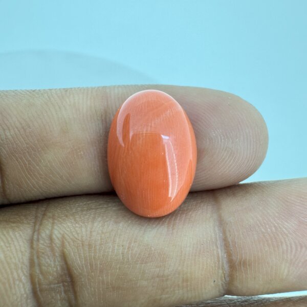 9.33 Carat/ 10.35 Ratti Natural Japanese Coral/ Moonga Gemstone