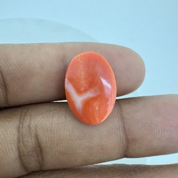 9.33 Carat/ 10.35 Ratti Natural Japanese Coral/ Moonga Gemstone