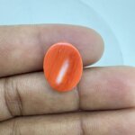 7.24 Carat/ 8.03 Ratti Natural Japanese Coral/ Moonga Gemstone