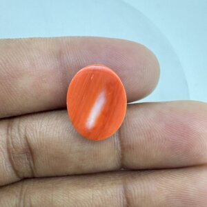 7.24 Carat/ 8.03 Ratti Natural Japanese Coral/ Moonga Gemstone