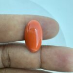 7.15 Carat/ 7.93 Ratti Natural Japanese Coral/ Moonga Gemstone