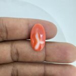 7.15 Carat/ 7.93 Ratti Natural Japanese Coral/ Moonga Gemstone