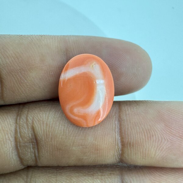 9.13 Carat/ 10.13 Ratti Natural Japanese Coral/ Moonga Gemstone