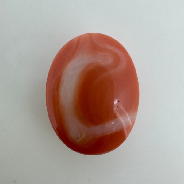 9.13 Carat/ 10.13 Ratti Natural Japanese Coral/ Moonga Gemstone