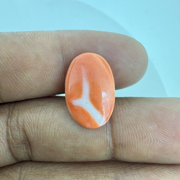 6.97 Carat/ 7.73 Ratti Natural Japanese Coral/ Moonga Gemstone