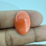 10.86 Carat/ 12.05 Ratti Natural Japanese Coral/ Moonga Gemstone