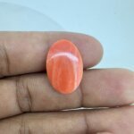 10.86 Carat/ 12.05 Ratti Natural Japanese Coral/ Moonga Gemstone