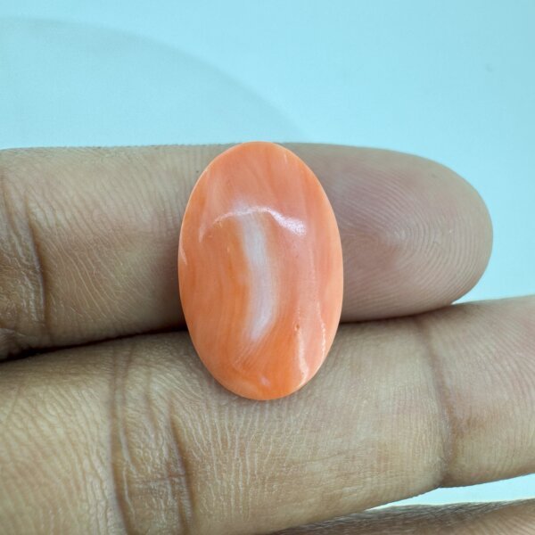 10.58 Carat/ 11.74 Ratti Natural Japanese Coral/ Moonga Gemstone
